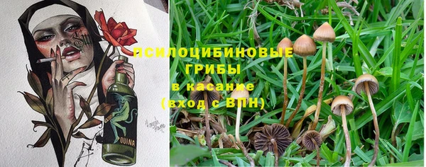 Альфа ПВП Михайловск