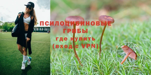 Альфа ПВП Михайловск