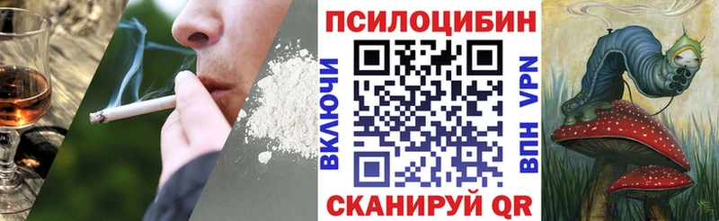Псилоцибиновые грибы Cubensis  mega ССЫЛКА  Череповец 