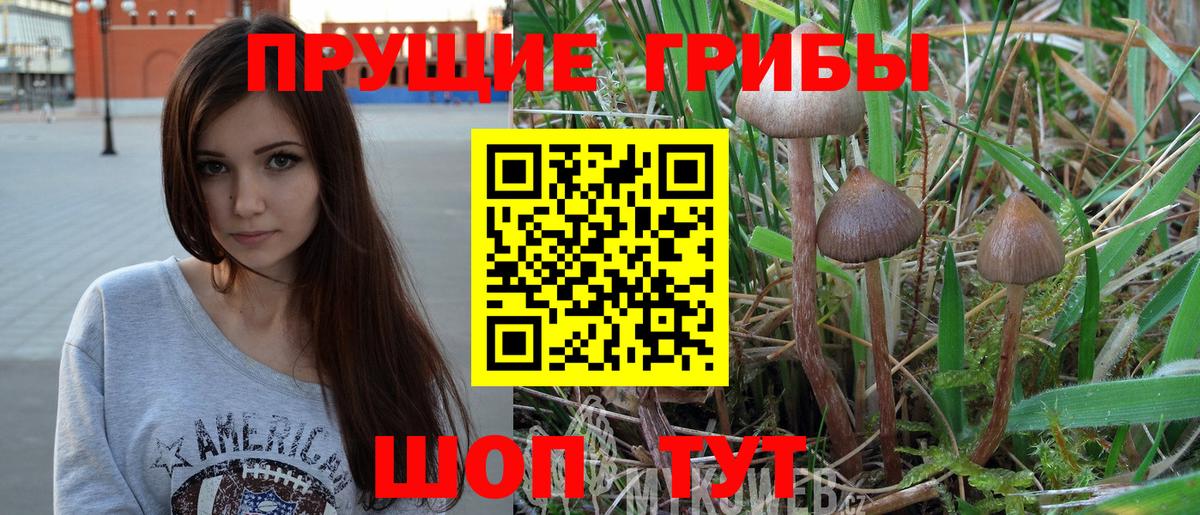 Псилоцибиновые грибы ЛСД  закладки  Череповец  Псилоцибиновые грибы GOLDEN TEACHER  Вход с VPN 