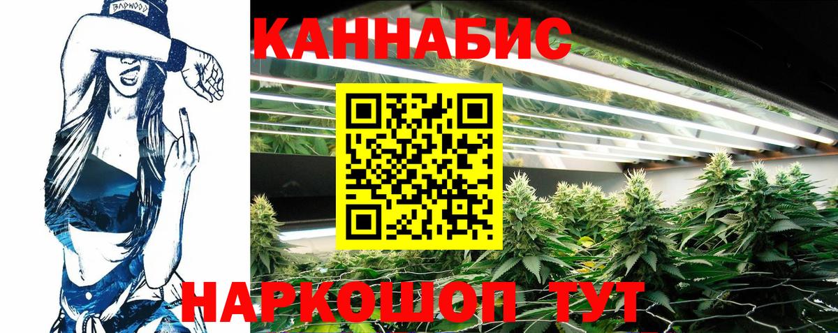 Канабис сатива Череповец